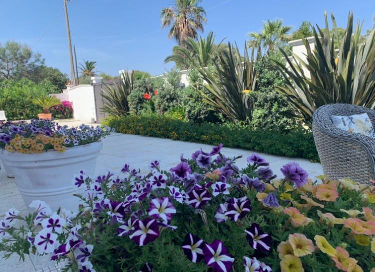Villa Katy Salento Campomarino  Esterno foto